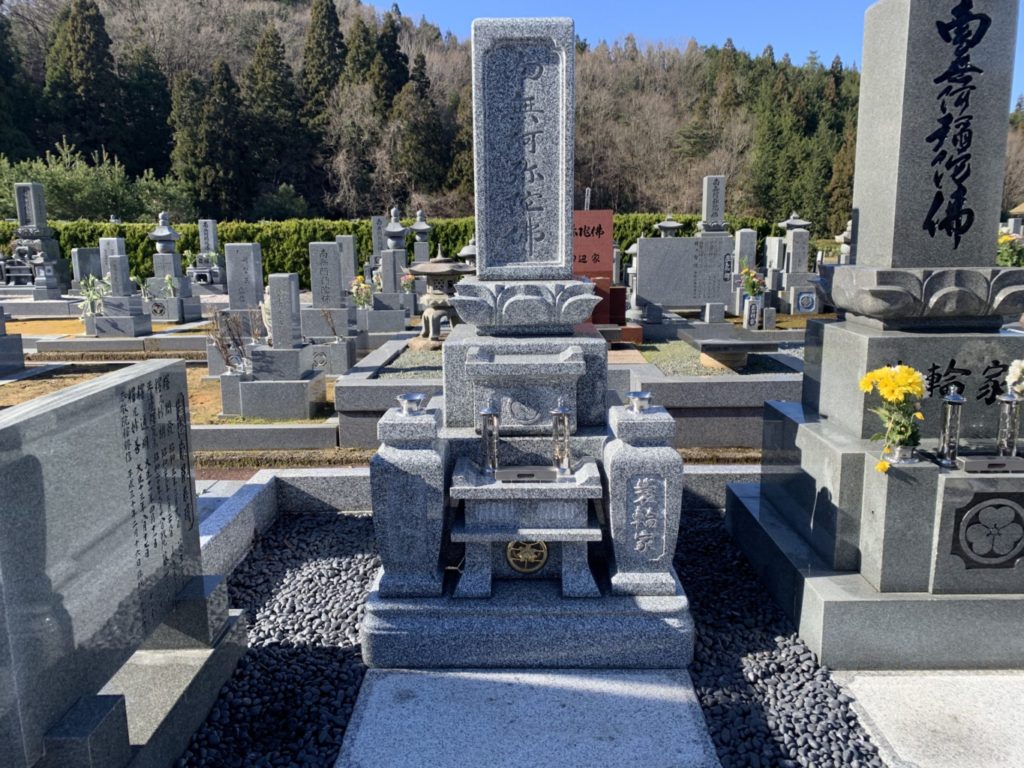 32254