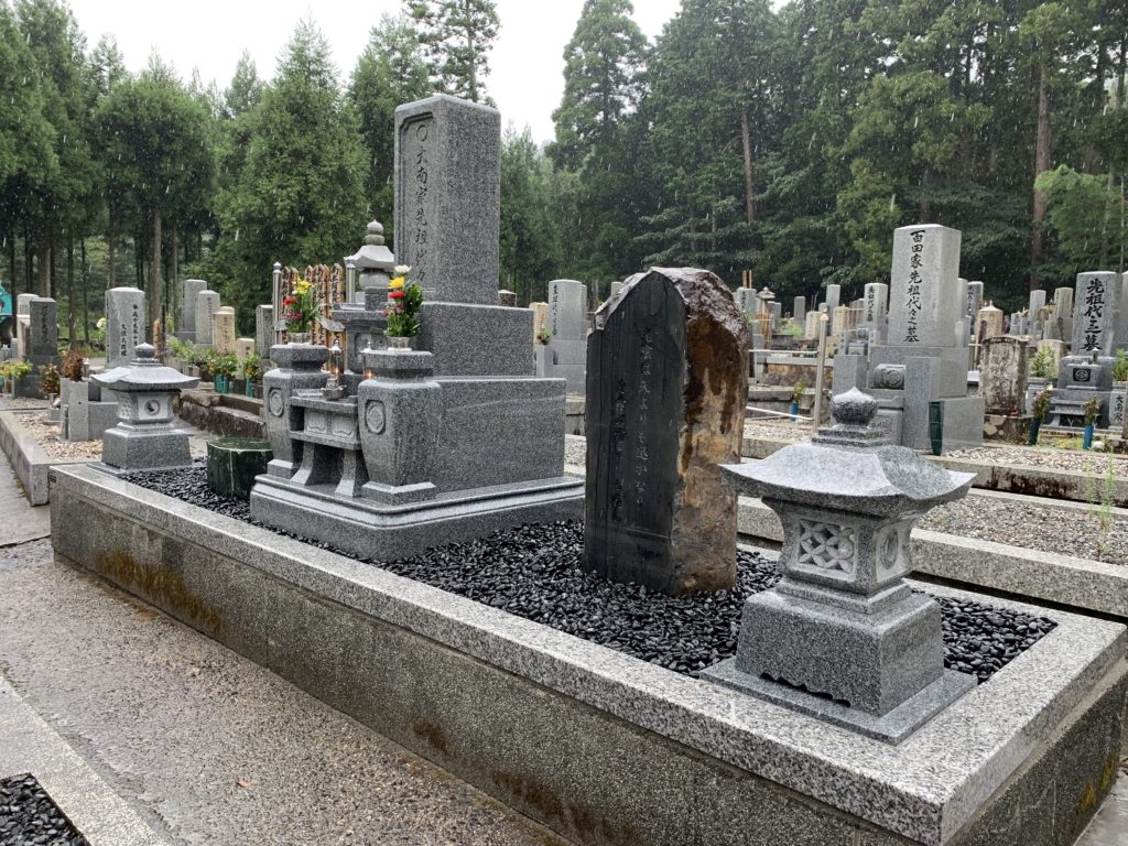 29233