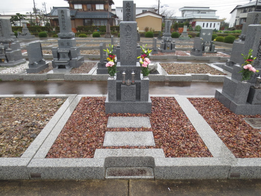 26034